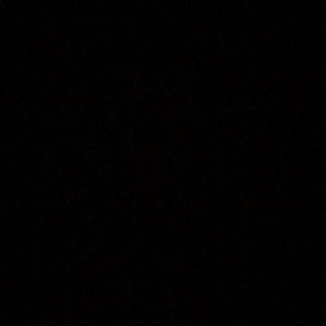 Meet your Posher, Janae